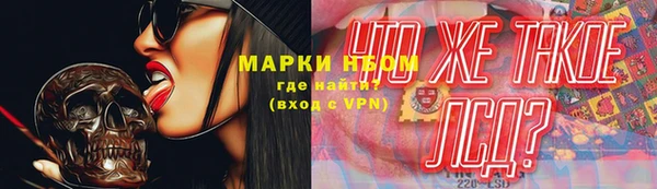 прущий лед Алзамай