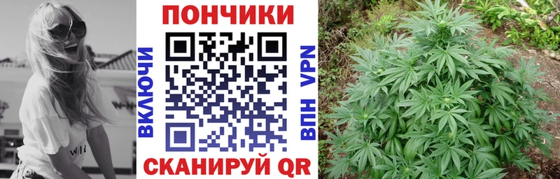 площадка состав  Топки  Бошки марихуана Amnesia 